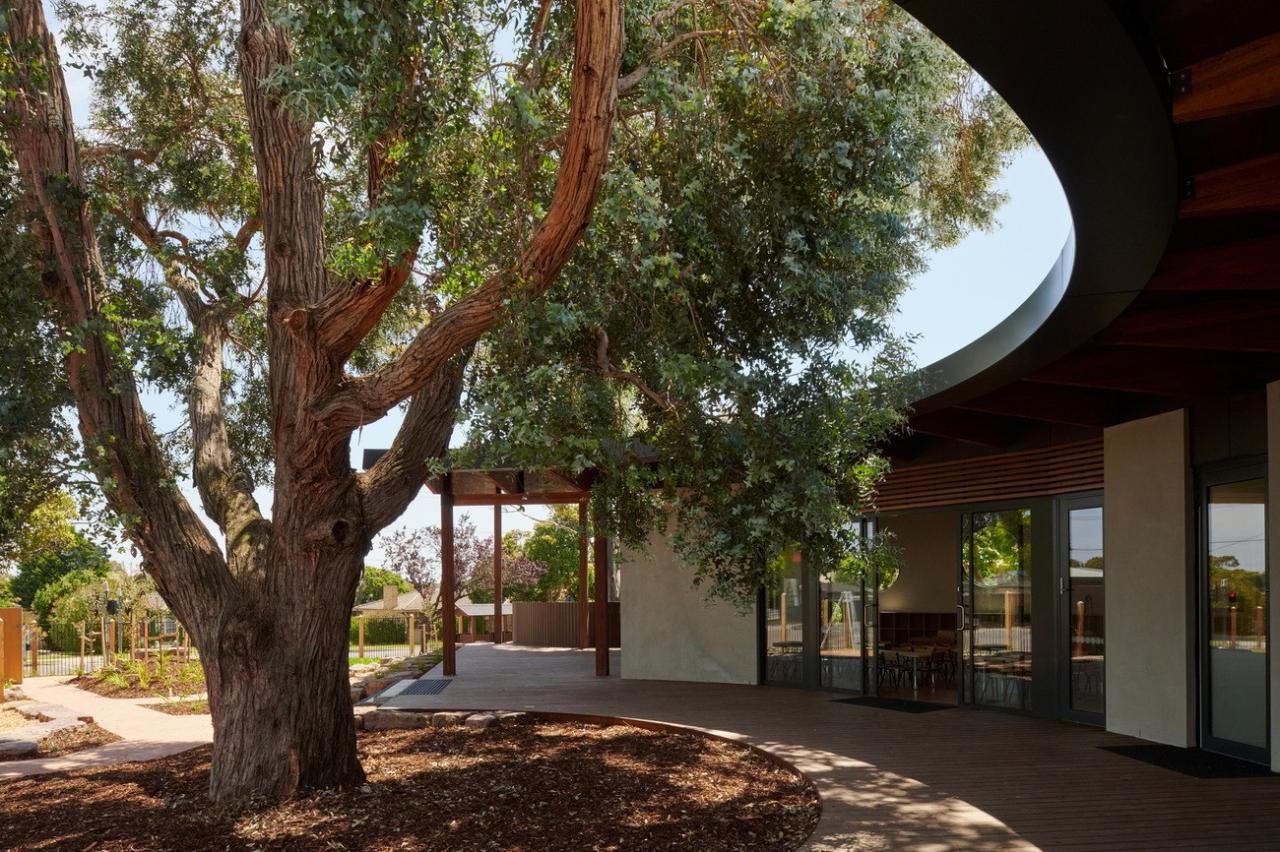 BIM建筑|抱树而建,Wellington 亲子中心 / AOA Christopher Peck BIM建筑|抱树而建,Wellington 亲子中心 / AOA Christopher Peck