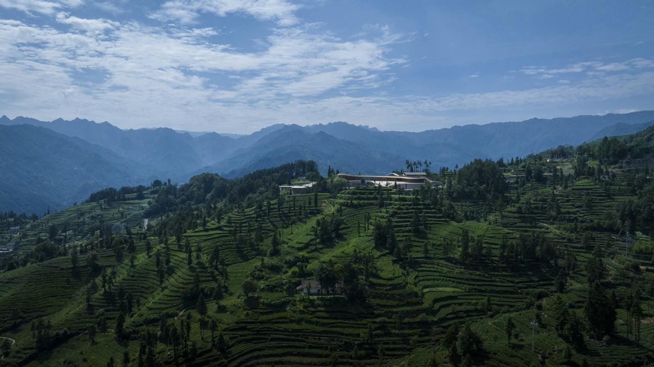BIM建筑|三峡茶旅小镇展示中心 / 建筑营设计工作室 BIM建筑|三峡茶旅小镇展示中心 / 建筑营设计工作室