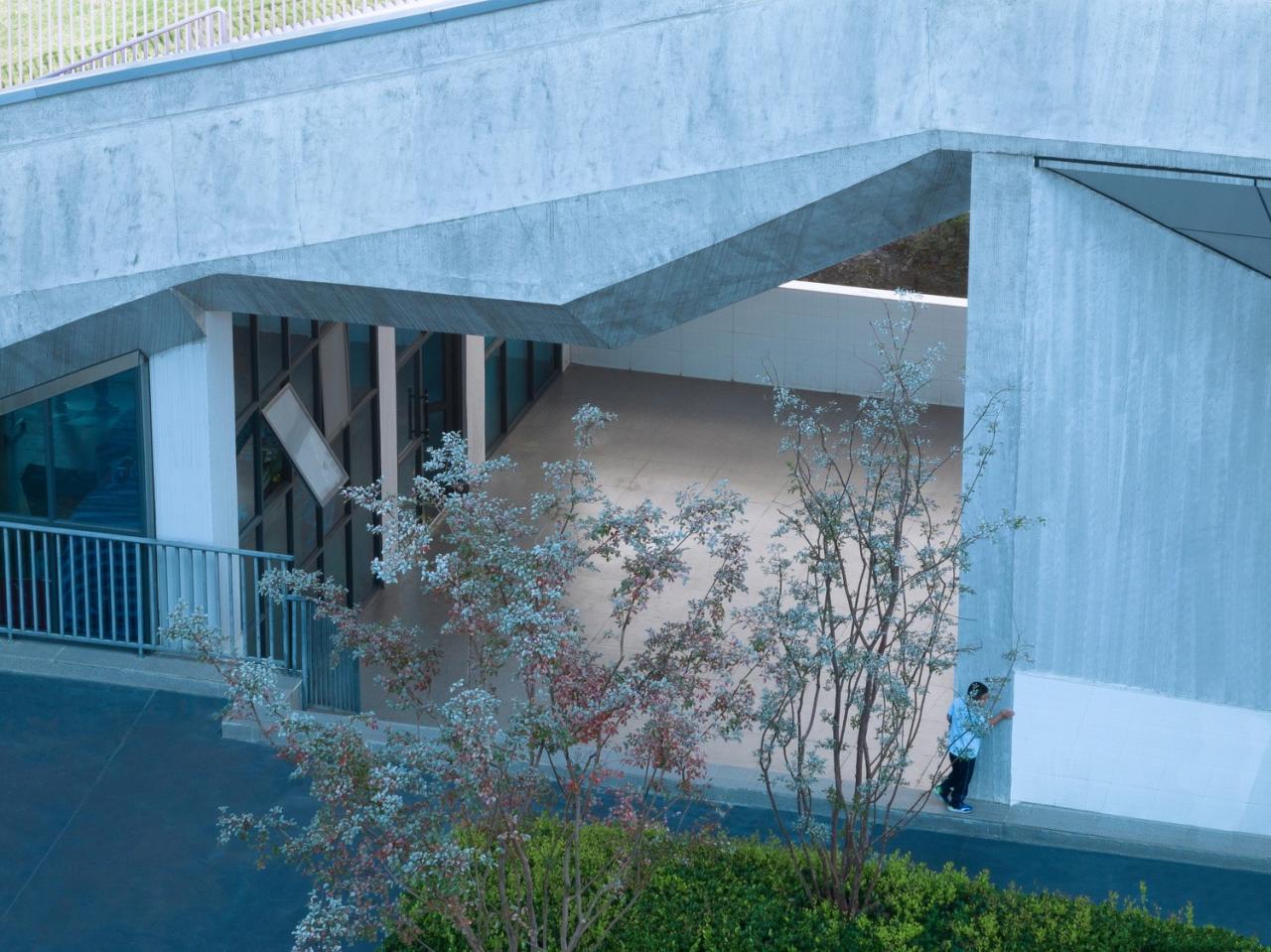 BIM建筑|如有机生命体般自由生长:贵阳·观山湖区第八中学 BIM建筑|如有机生命体般自由生长:贵阳·观山湖区第八中学