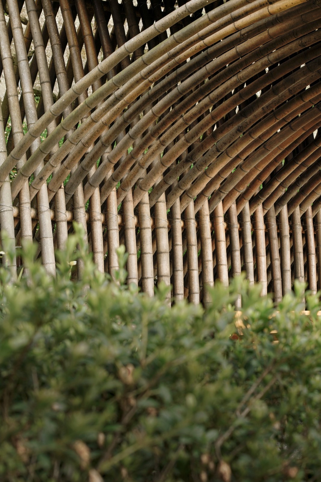 BIM建筑|清水茶坊 / Behet Bondzio Lin Architekten BIM建筑|清水茶坊 / Behet Bondzio Lin Architekten