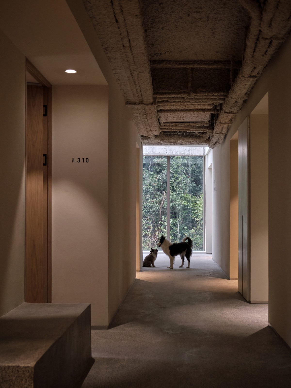 BIM建筑|杭州青山青年社 / 间筑设计 BIM建筑|杭州青山青年社 / 间筑设计