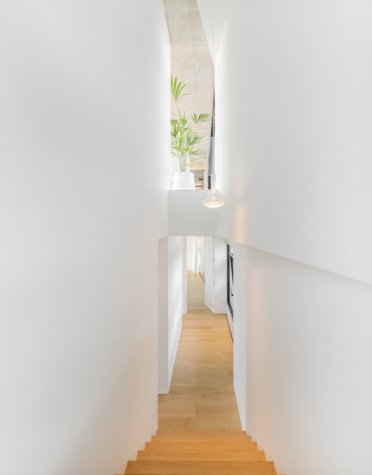 BIM建筑|Quinta do Rei 住宅 / Contaminar Arquitetos BIM建筑|Quinta do Rei 住宅 / Contaminar Arquitetos