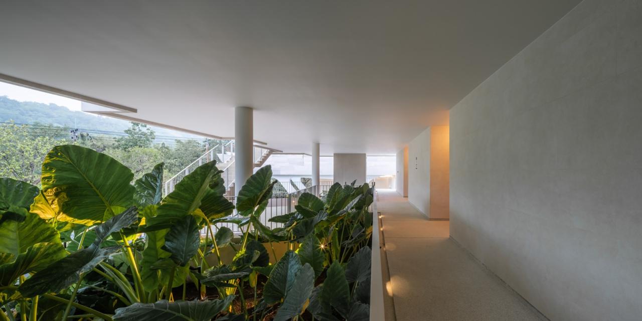 BIM建筑|游向天空,MYS Khaoyai 酒店 / Urban Praxis BIM建筑|游向天空,MYS Khaoyai 酒店 / Urban Praxis