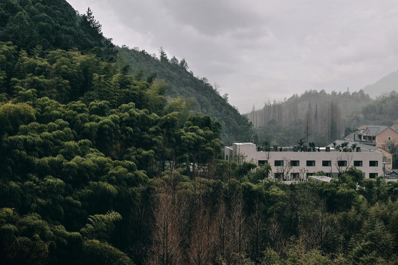 BIM建筑|杭州青山青年社 / 间筑设计 BIM建筑|杭州青山青年社 / 间筑设计