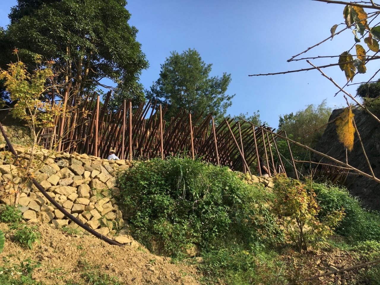 BIM建筑|清水茶坊 / Behet Bondzio Lin Architekten BIM建筑|清水茶坊 / Behet Bondzio Lin Architekten