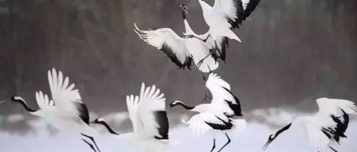 BIM建筑|武汉戏曲中心:观湖望江绘山水,古琴台曲遇园林 / 维思平建筑设计 BIM建筑|武汉戏曲中心:观湖望江绘山水,古琴台曲遇园林 / 维思平建筑设计