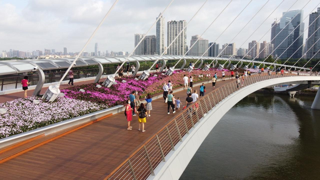 BIM建筑|广州海心桥 / 华南理工大学建筑设计研究院有限公司 BIM建筑|广州海心桥 / 华南理工大学建筑设计研究院有限公司
