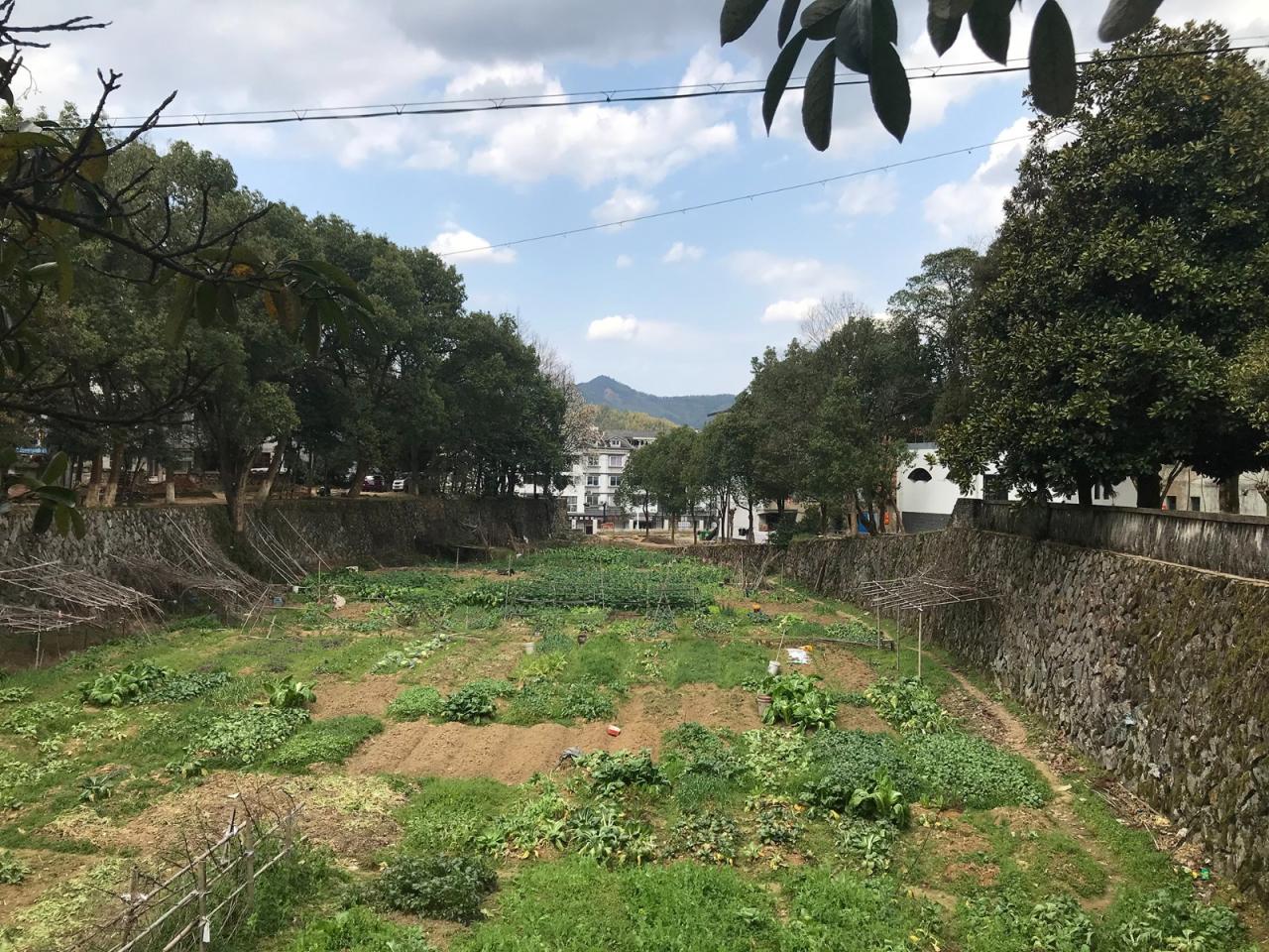 BIM建筑|溪口未来社区之家 / 严旸建筑设计 BIM建筑|溪口未来社区之家 / 严旸建筑设计