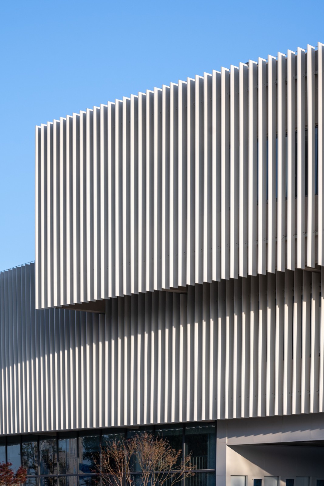 BIM建筑|扬名实验学校 / 米丈建筑 BIM建筑|扬名实验学校 / 米丈建筑