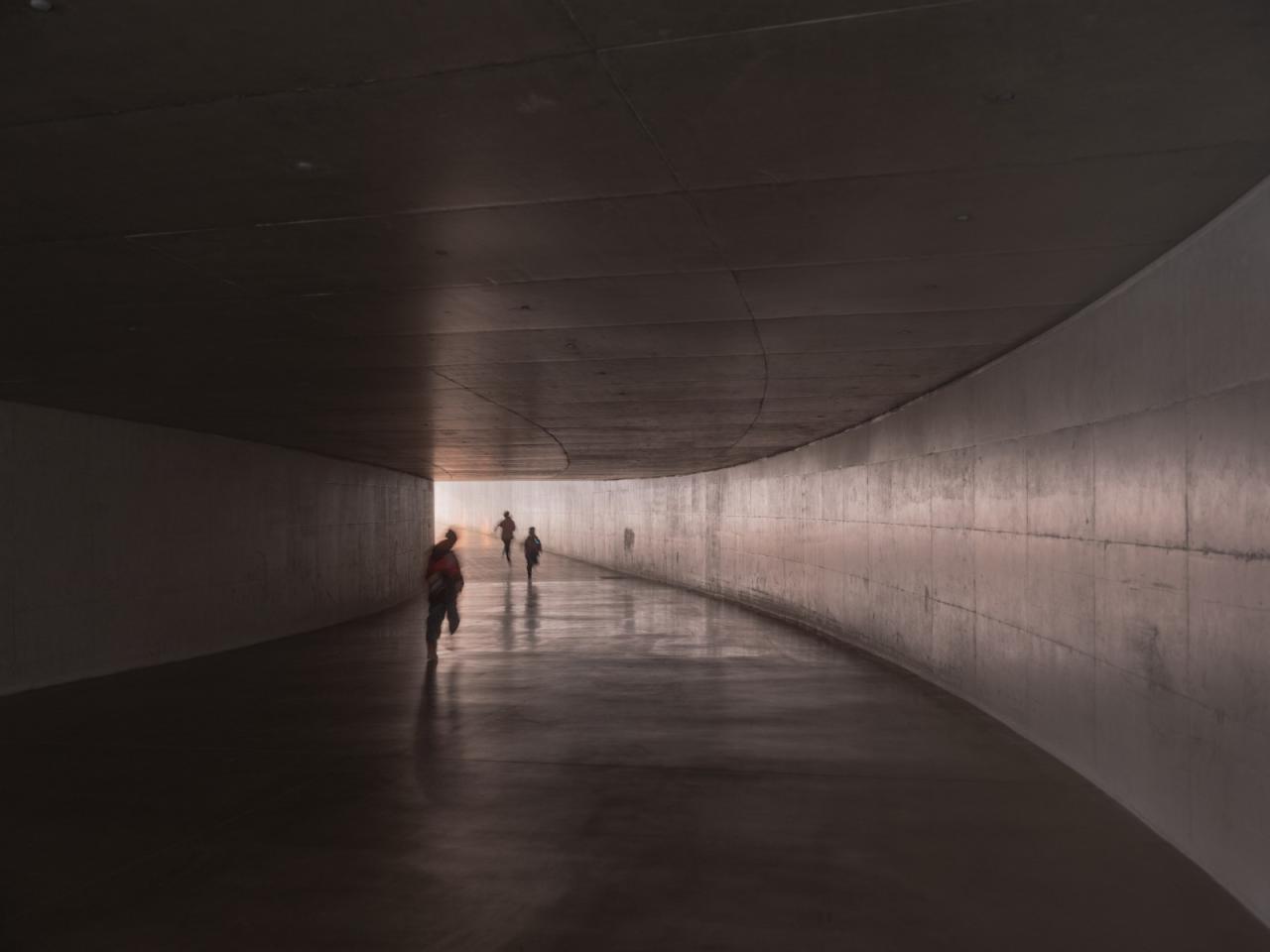 BIM建筑|在水艺术博物馆 / 石上纯也建筑事务所 BIM建筑|在水艺术博物馆 / 石上纯也建筑事务所