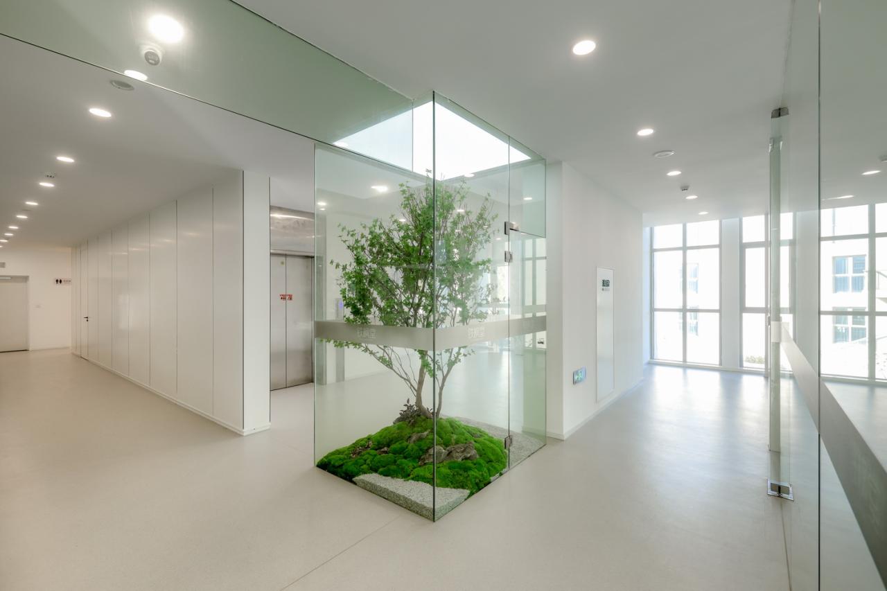 BIM建筑|铁枫堂研发大楼 / 形势建筑 BIM建筑|铁枫堂研发大楼 / 形势建筑