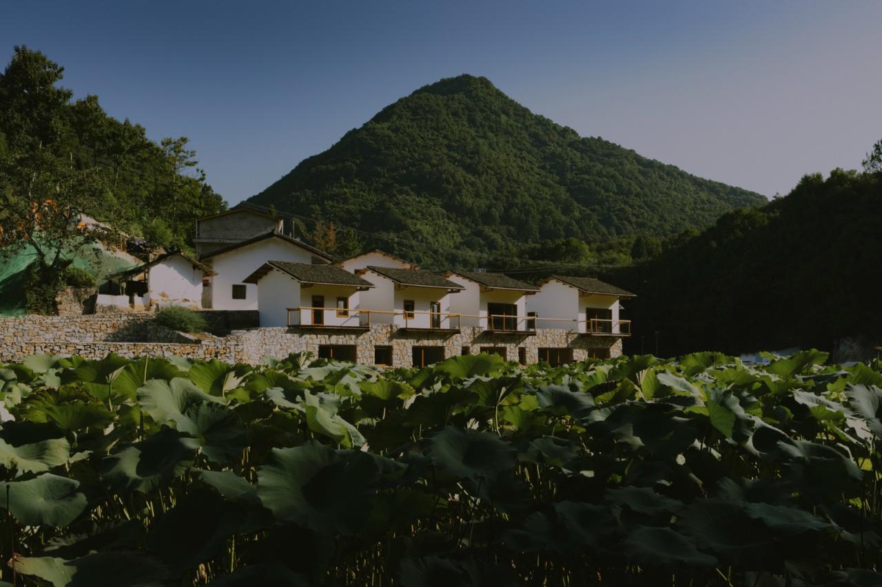 BIM建筑|鹿柴山集 精品民宿 / 小大建筑 BIM建筑|鹿柴山集 精品民宿 / 小大建筑