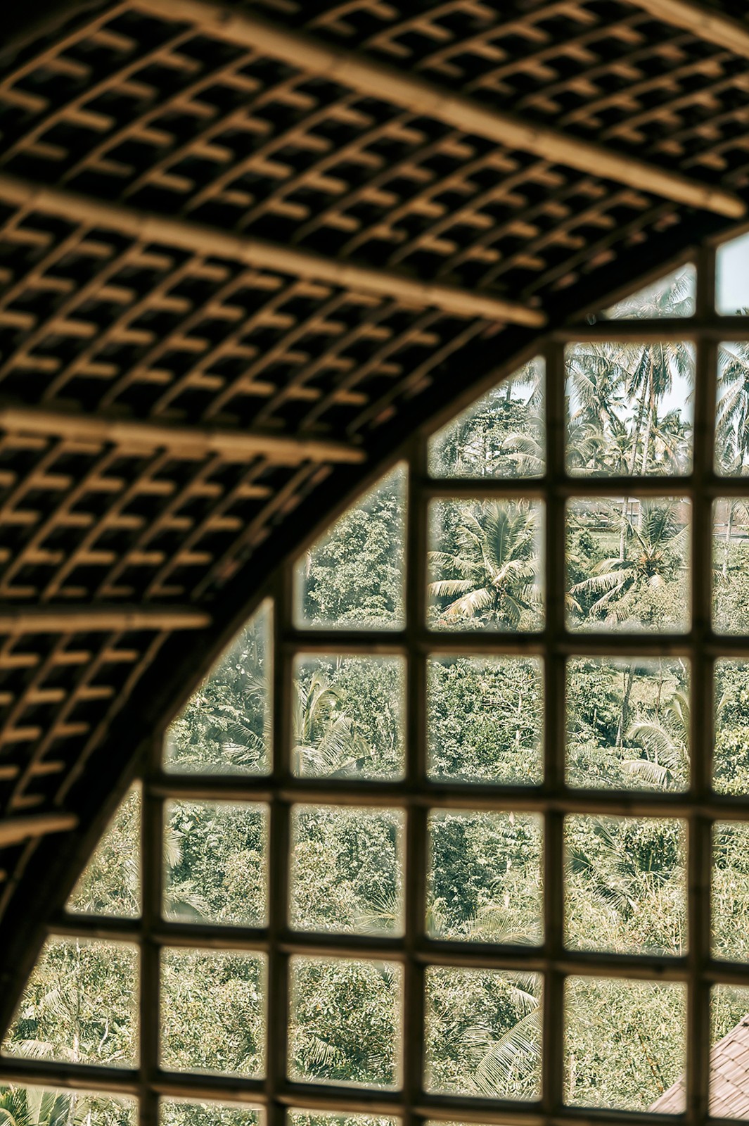 BIM建筑|Akar 餐厅 / Leon Design Agency BIM建筑|Akar 餐厅 / Leon Design Agency