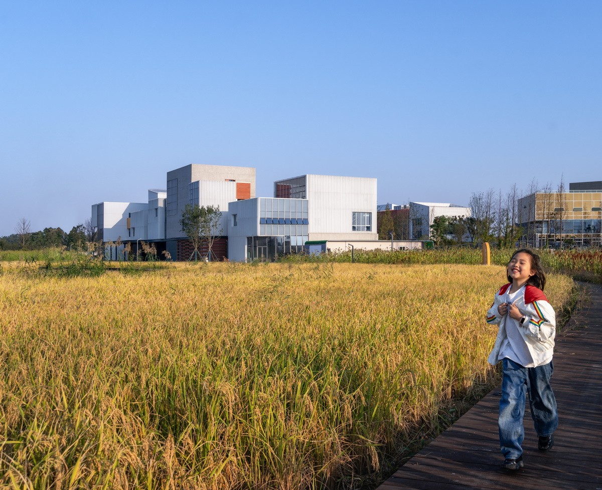 BIM建筑|海宁长安国际花卉产业园 / 森上建筑+朴筑建筑 BIM建筑|海宁长安国际花卉产业园 / 森上建筑+朴筑建筑
