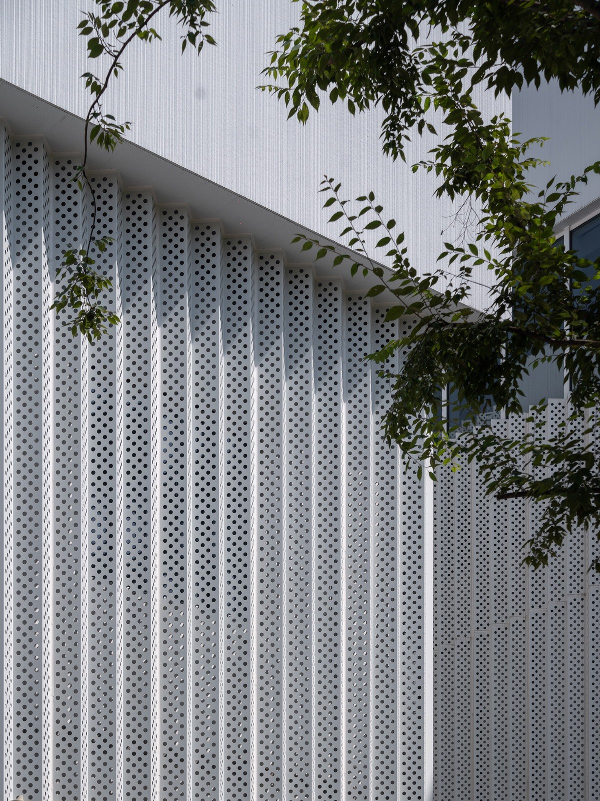 BIM建筑|海宁长安国际花卉产业园 / 森上建筑+朴筑建筑 BIM建筑|海宁长安国际花卉产业园 / 森上建筑+朴筑建筑