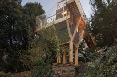 BIM建筑|巴塞罗那森林中出现木材研究馆-BIM建筑网