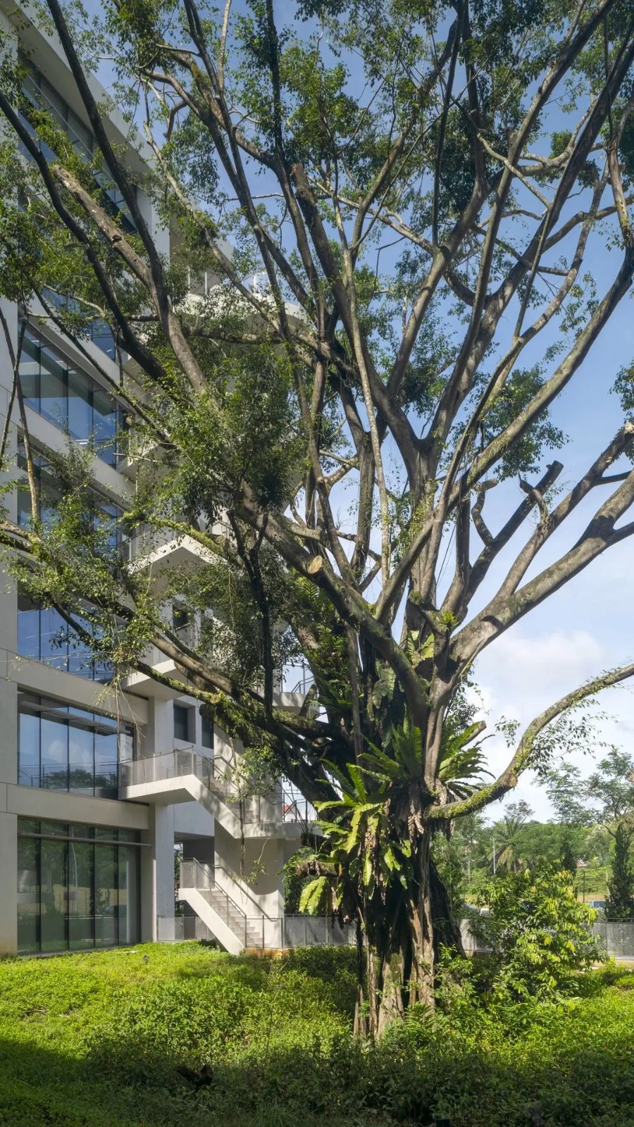 BIM建筑|开启花园办公的未来形态:盛裕集团总部 / Surbana Jurong Campus BIM建筑|开启花园办公的未来形态:盛裕集团总部 / Surbana Jurong Campus