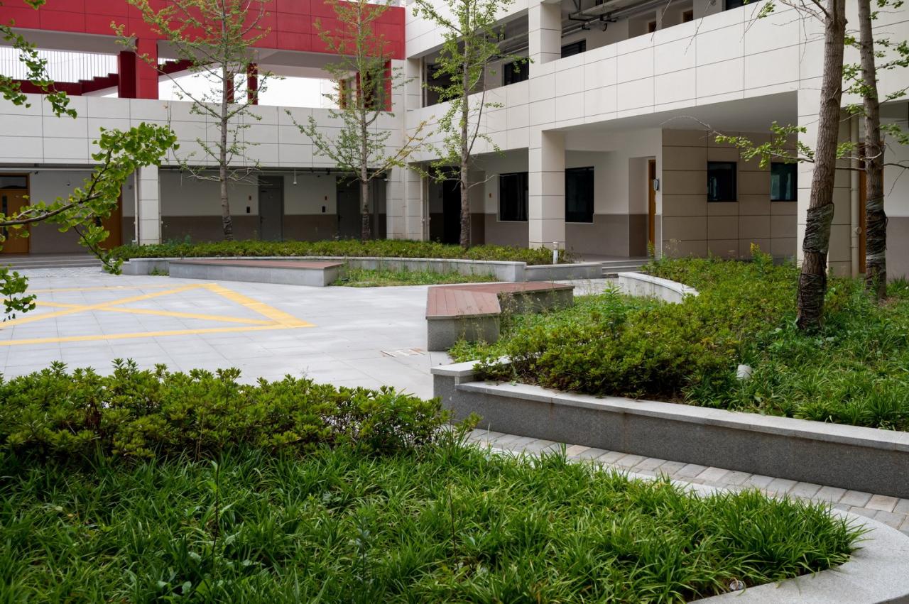 BIM建筑|此时此地:面向走班教学的高密度校园实践——青浦兰生•思源中学 / 创霖-泽柏 BIM建筑|此时此地:面向走班教学的高密度校园实践——青浦兰生•思源中学 / 创霖-泽柏