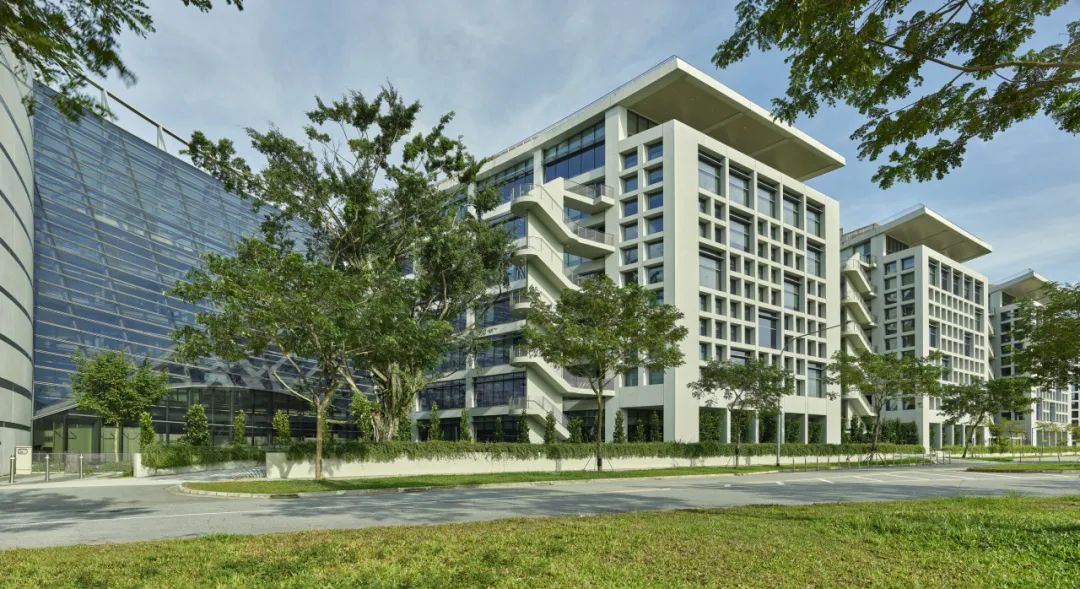 BIM建筑|开启花园办公的未来形态:盛裕集团总部 / Surbana Jurong Campus BIM建筑|开启花园办公的未来形态:盛裕集团总部 / Surbana Jurong Campus