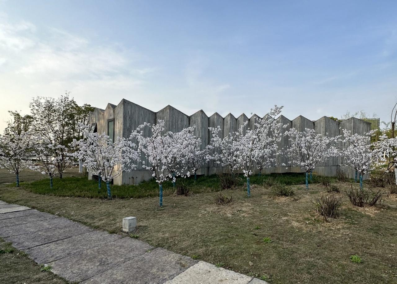 BIM建筑|中国美术学院良渚校区一期全场落成 / 非常建筑 BIM建筑|中国美术学院良渚校区一期全场落成 / 非常建筑