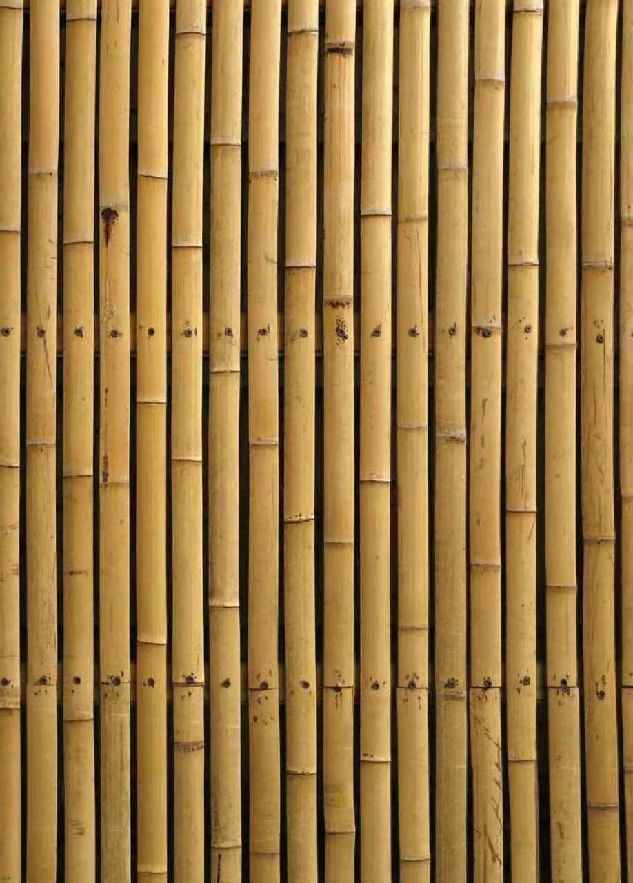 BIM建筑|有没有五一去苏杭的搭子,纯看建筑,不去拥挤的景区? BIM建筑|有没有五一去苏杭的搭子,纯看建筑,不去拥挤的景区?