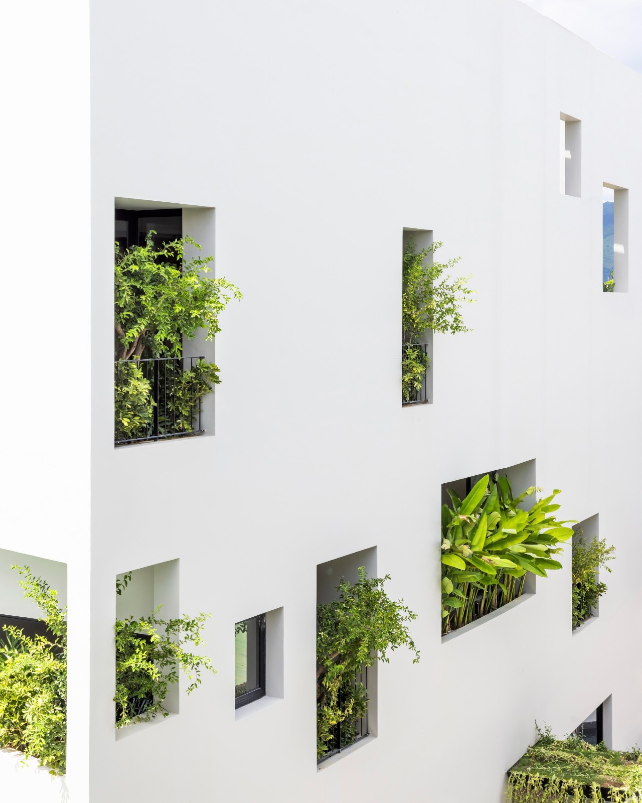 BIM建筑|天空花园别墅 / Pham Huu Son Architects BIM建筑|天空花园别墅 / Pham Huu Son Architects