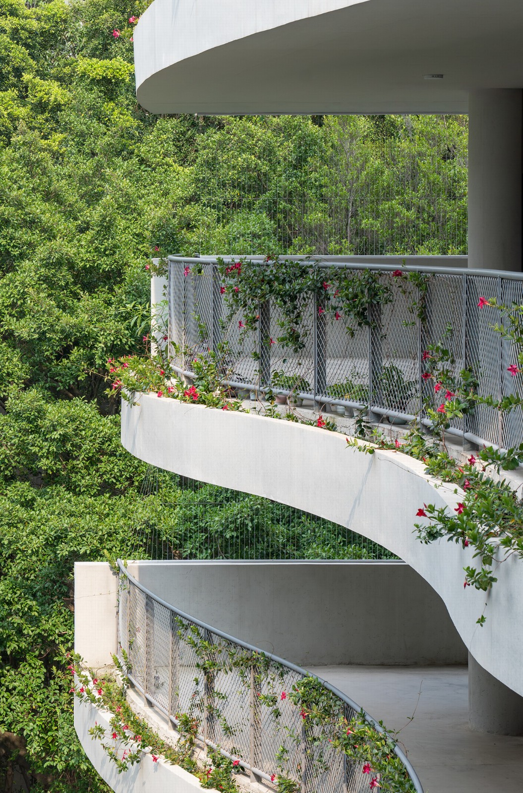 BIM建筑|景龙小学 / 非常建筑 BIM建筑|景龙小学 / 非常建筑