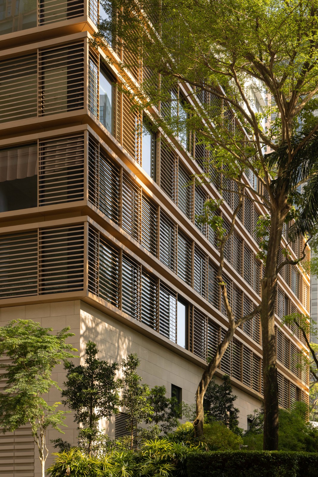 BIM建筑|铂瑞雅居与新加坡艾迪逊酒店 / 萨夫迪建筑事务所 BIM建筑|铂瑞雅居与新加坡艾迪逊酒店 / 萨夫迪建筑事务所