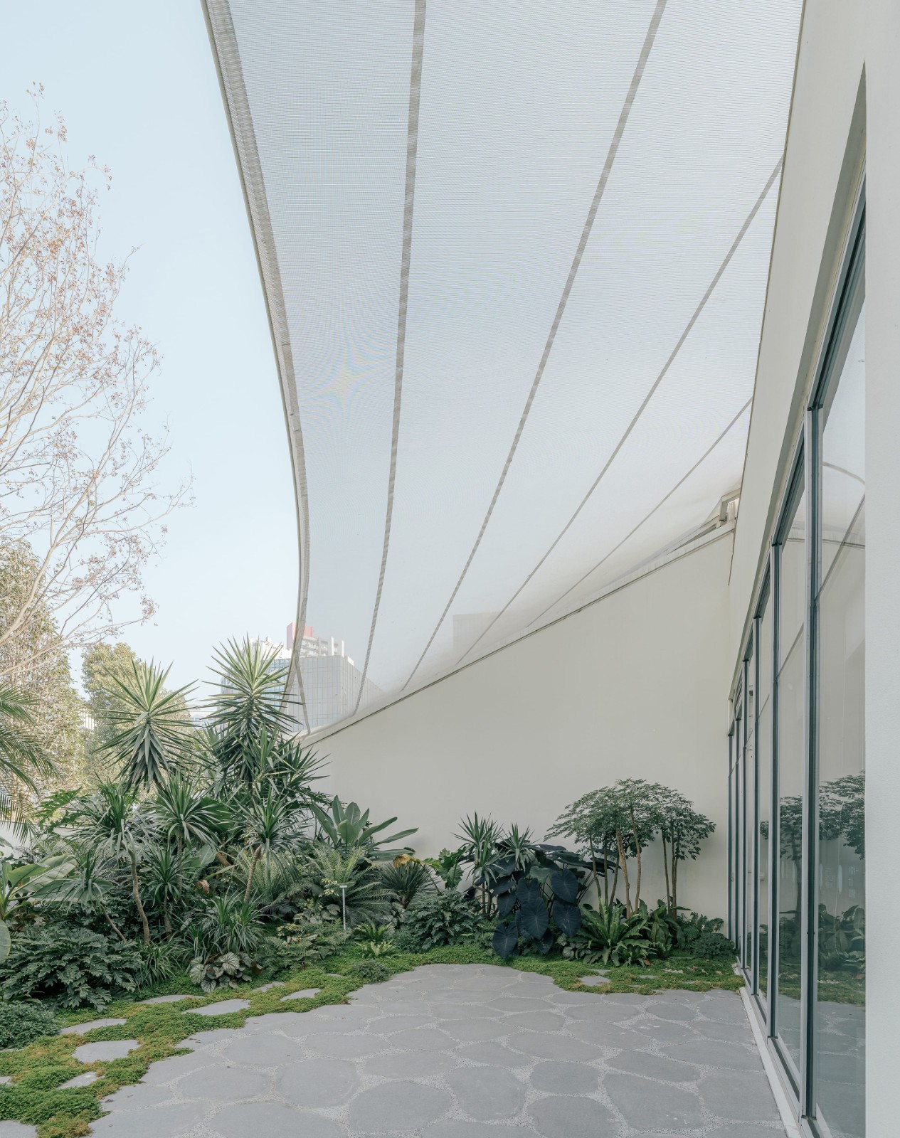 BIM建筑|麓湖一片森林儿童博物馆 / 大料建筑 BIM建筑|麓湖一片森林儿童博物馆 / 大料建筑