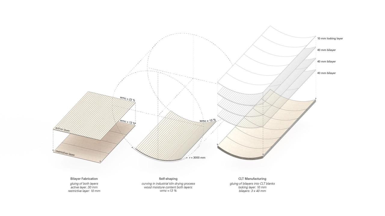 BIM建筑|Wangen 塔 / ICD/ITKE/IntCDC 斯图加特大学 BIM建筑|Wangen 塔 / ICD/ITKE/IntCDC 斯图加特大学