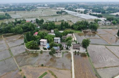 BIM建筑|跨越千年农耕生活的对谈:新都·百草香庐 / 小隐建筑-BIM建筑网