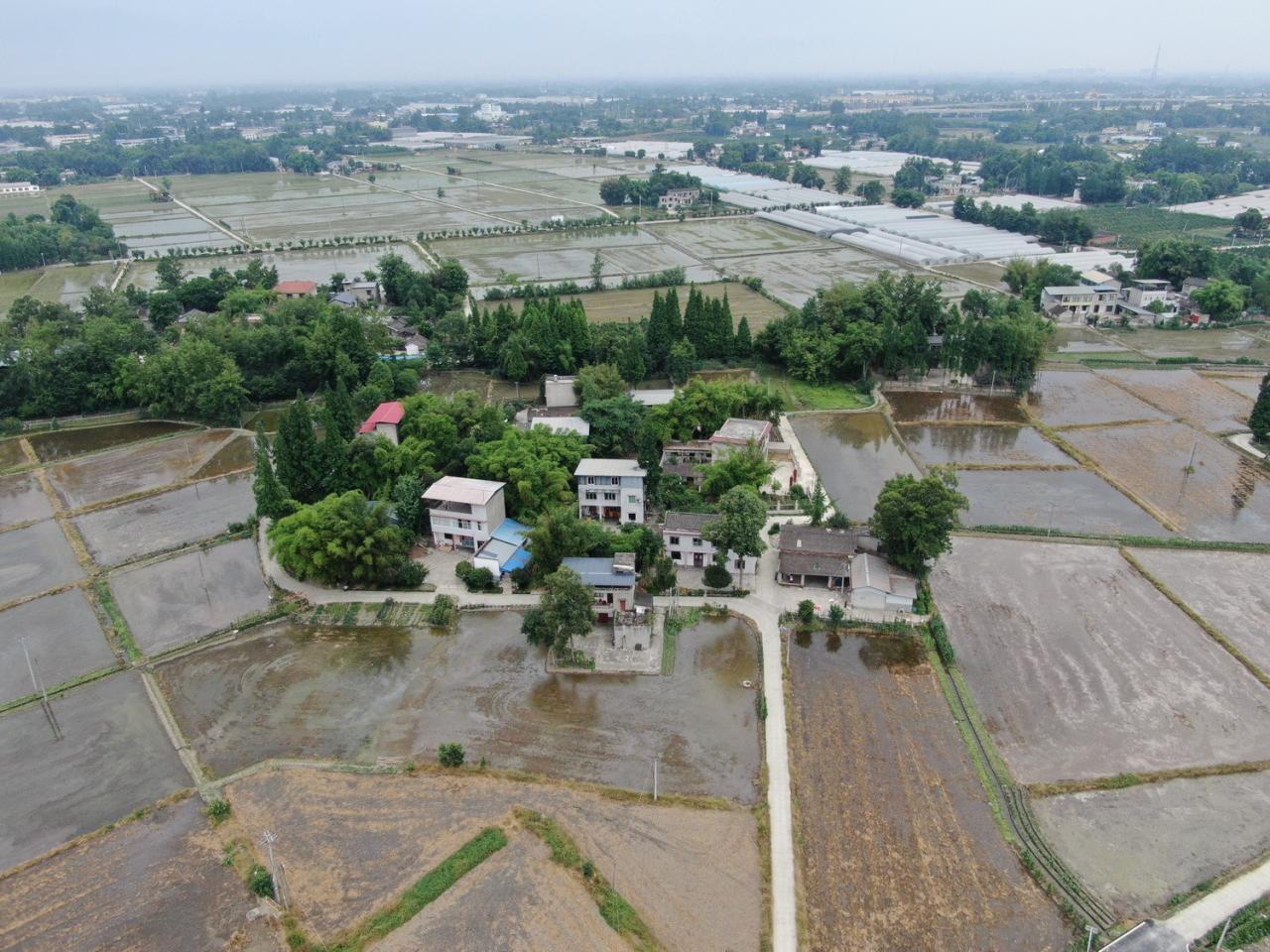 BIM建筑|跨越千年农耕生活的对谈:新都·百草香庐 / 小隐建筑 BIM建筑|跨越千年农耕生活的对谈:新都·百草香庐 / 小隐建筑