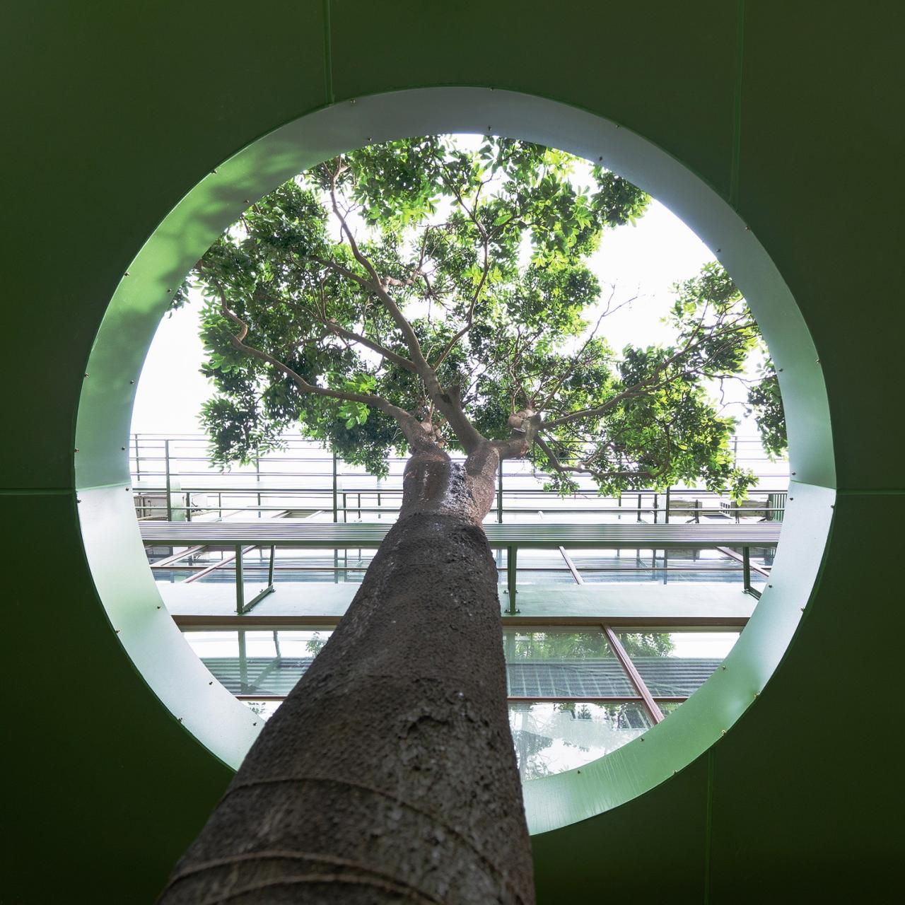 BIM建筑|深圳市碧榕湾幼儿园改造 / 不也设计工作室 BIM建筑|深圳市碧榕湾幼儿园改造 / 不也设计工作室