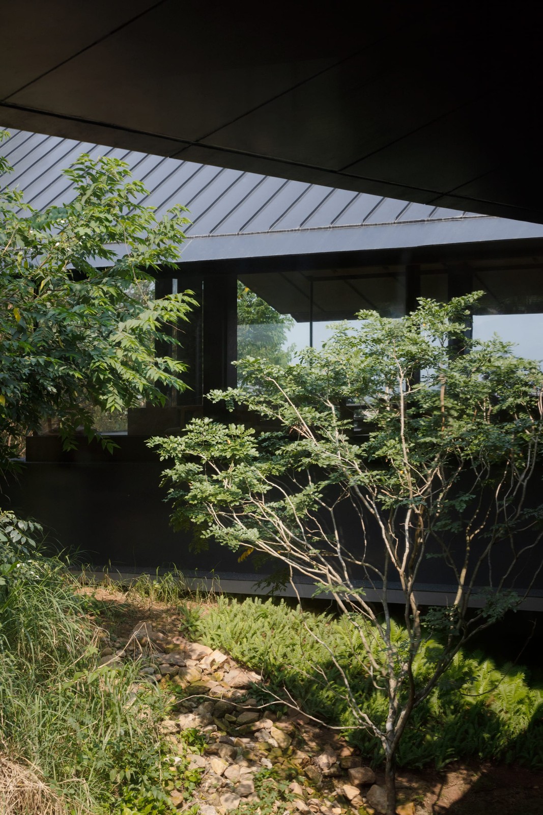 BIM建筑|三亚山谷餐厅(森海·四葉) / PLAT ASIA BIM建筑|三亚山谷餐厅(森海·四葉) / PLAT ASIA