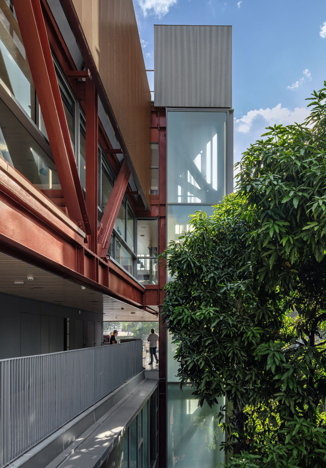 BIM建筑|鲁道夫斯坦纳大学 / Biselli Katchborian Arquitetos BIM建筑|鲁道夫斯坦纳大学 / Biselli Katchborian Arquitetos