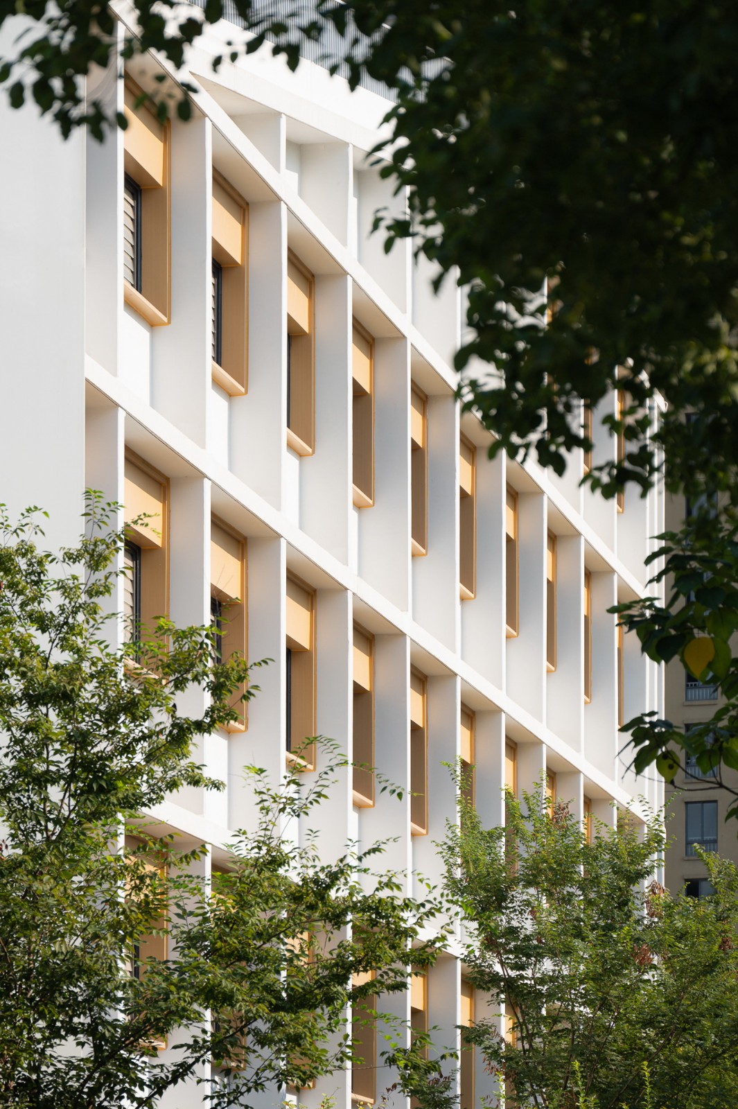 BIM建筑|成长阶梯,无界校园:杭州市上塘单元小学 / 浙江大学建筑设计研究院 BIM建筑|成长阶梯,无界校园:杭州市上塘单元小学 / 浙江大学建筑设计研究院