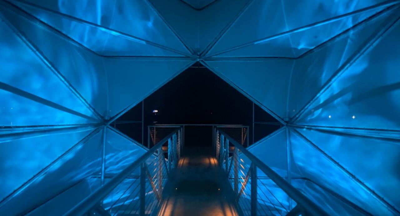BIM建筑|人造树 / 有限设计工作室 BIM建筑|人造树 / 有限设计工作室