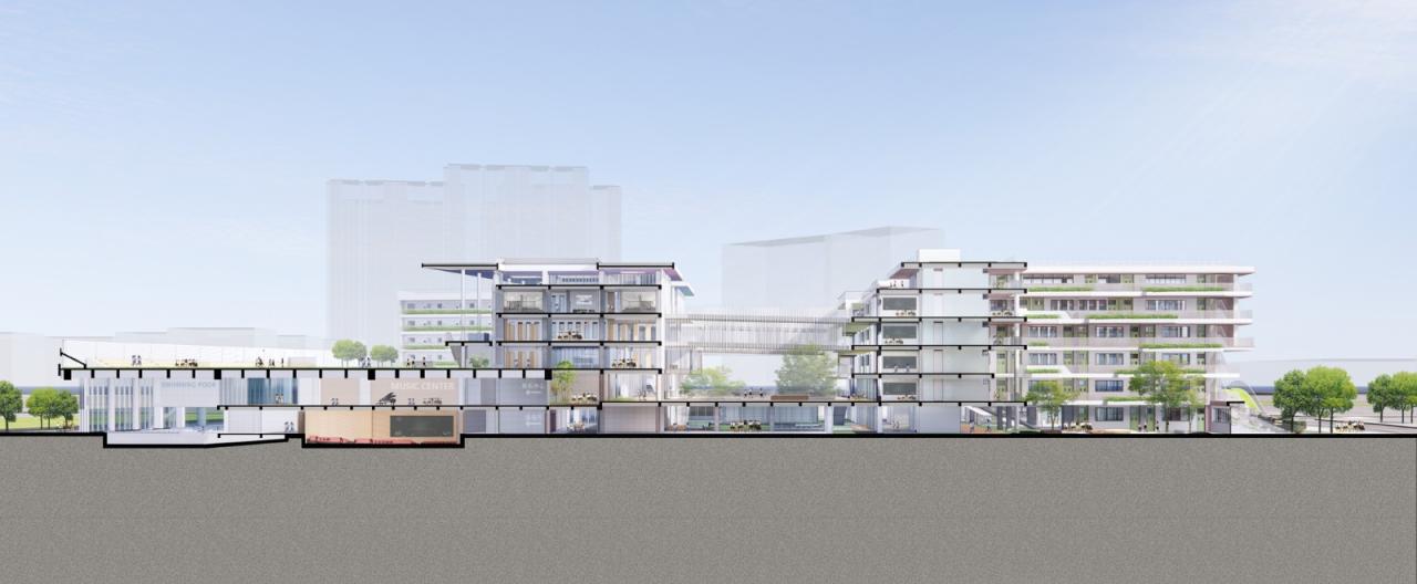 BIM建筑|深圳高级中学(集团)北校区新园 / CAPOL BIM建筑|深圳高级中学(集团)北校区新园 / CAPOL