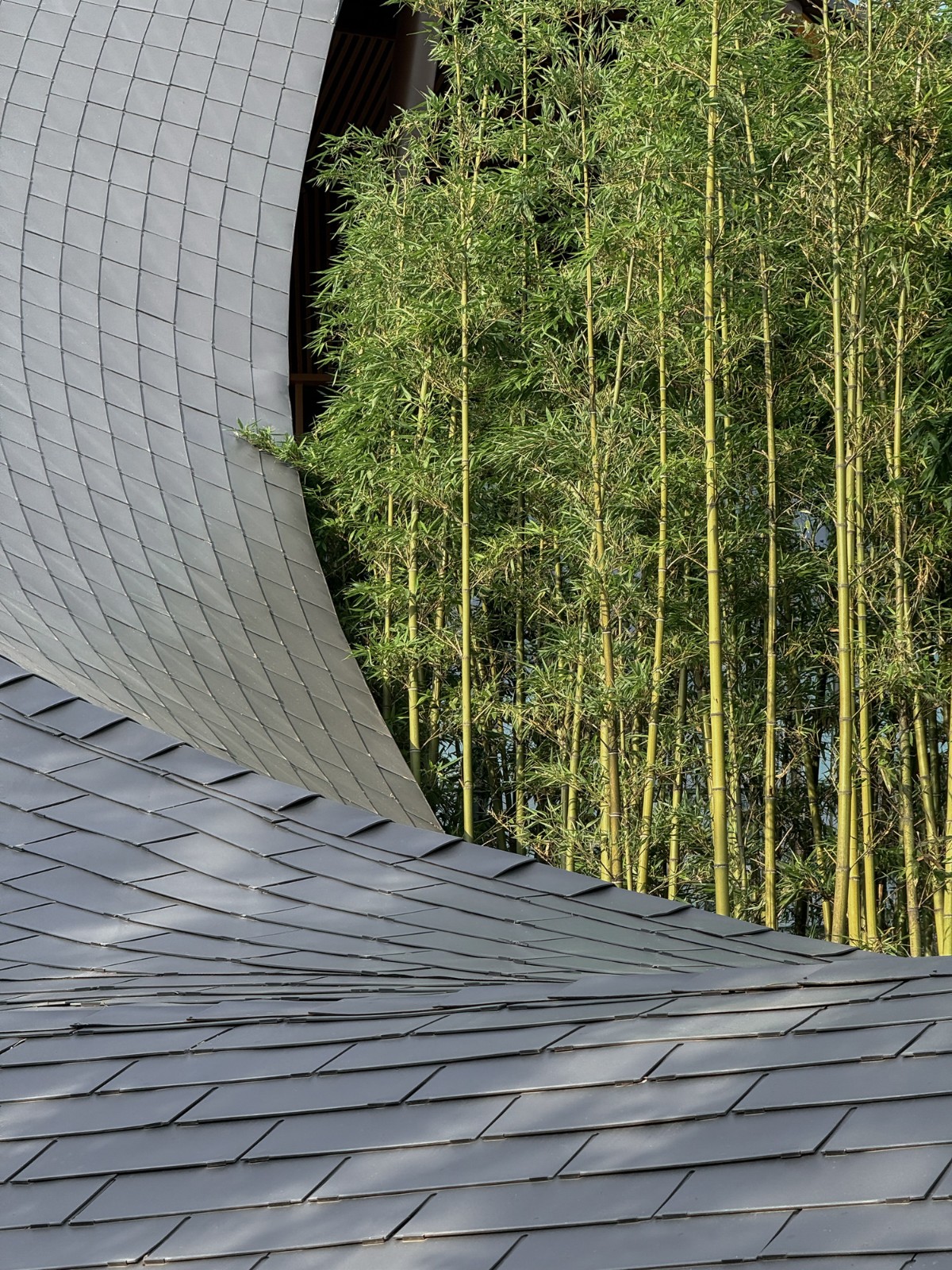 BIM建筑|“龙脊”- 地中海黑龙滩度假酒店 / AIM ARCHITECTURE BIM建筑|“龙脊”- 地中海黑龙滩度假酒店 / AIM ARCHITECTURE