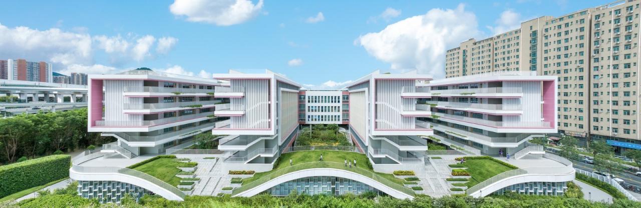 BIM建筑|深圳高级中学(集团)北校区新园 / CAPOL BIM建筑|深圳高级中学(集团)北校区新园 / CAPOL