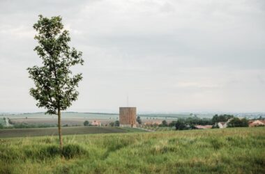 BIM建筑|Nesvačilka 圣母教堂 / RCNKSK-BIM建筑网