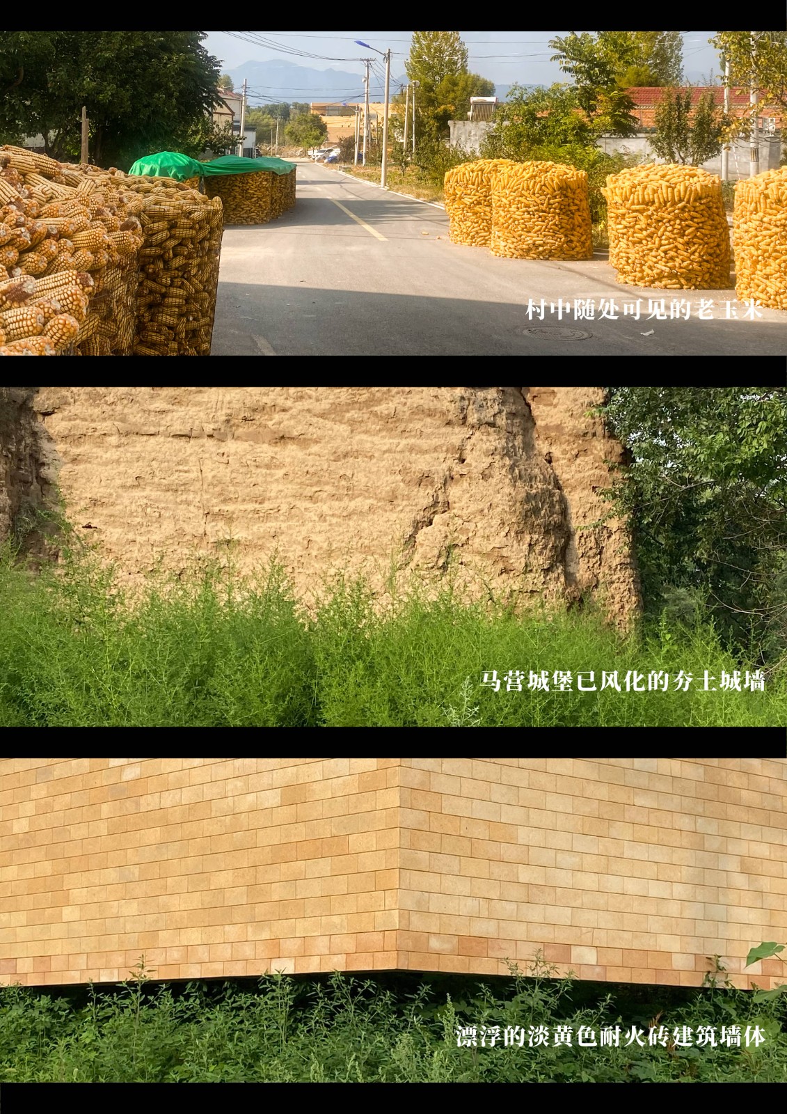 BIM建筑|ARVO 16:30酒店: 接住光影草木的城堡 / 大料建筑 BIM建筑|ARVO 16:30酒店: 接住光影草木的城堡 / 大料建筑