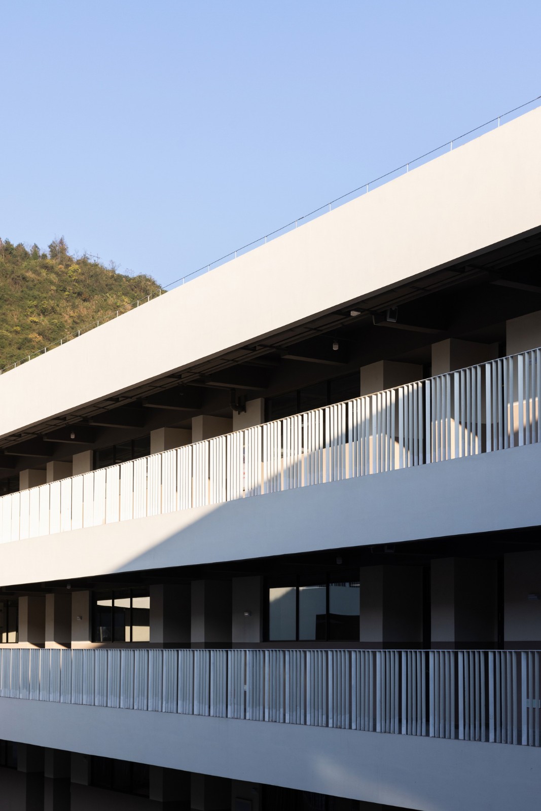 BIM建筑|南山五福堂高级中学 / 小写建筑 BIM建筑|南山五福堂高级中学 / 小写建筑