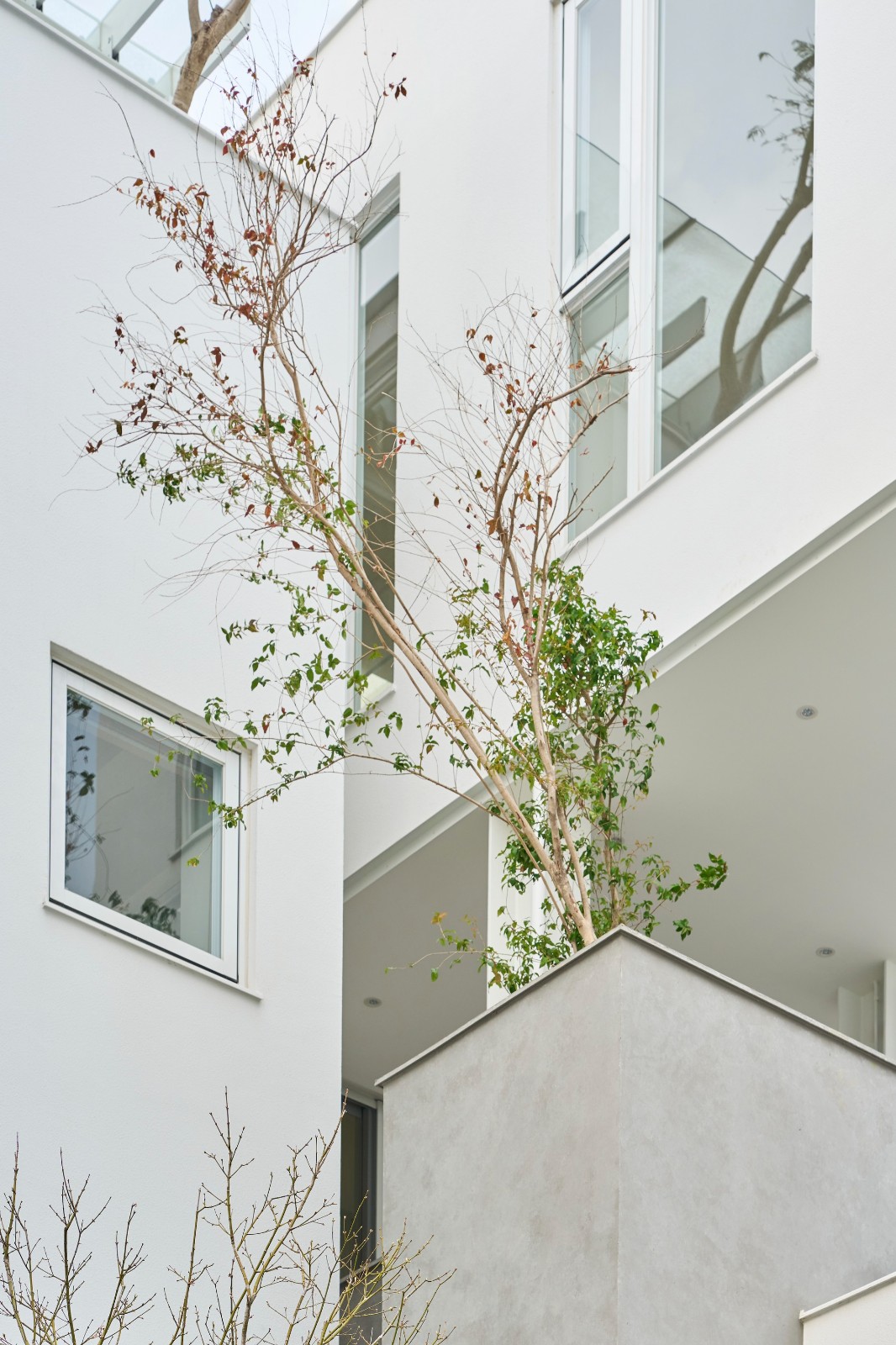 BIM建筑|山谷之家 / Soar Design Studio + Ray Architects BIM建筑|山谷之家 / Soar Design Studio + Ray Architects