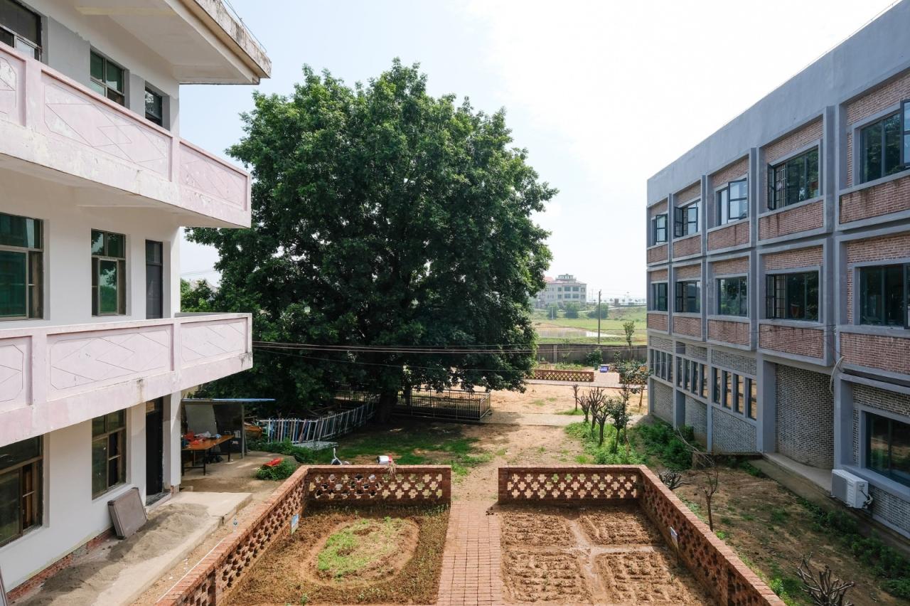 BIM建筑|沿江乡村学校 / DOMAT BIM建筑|沿江乡村学校 / DOMAT