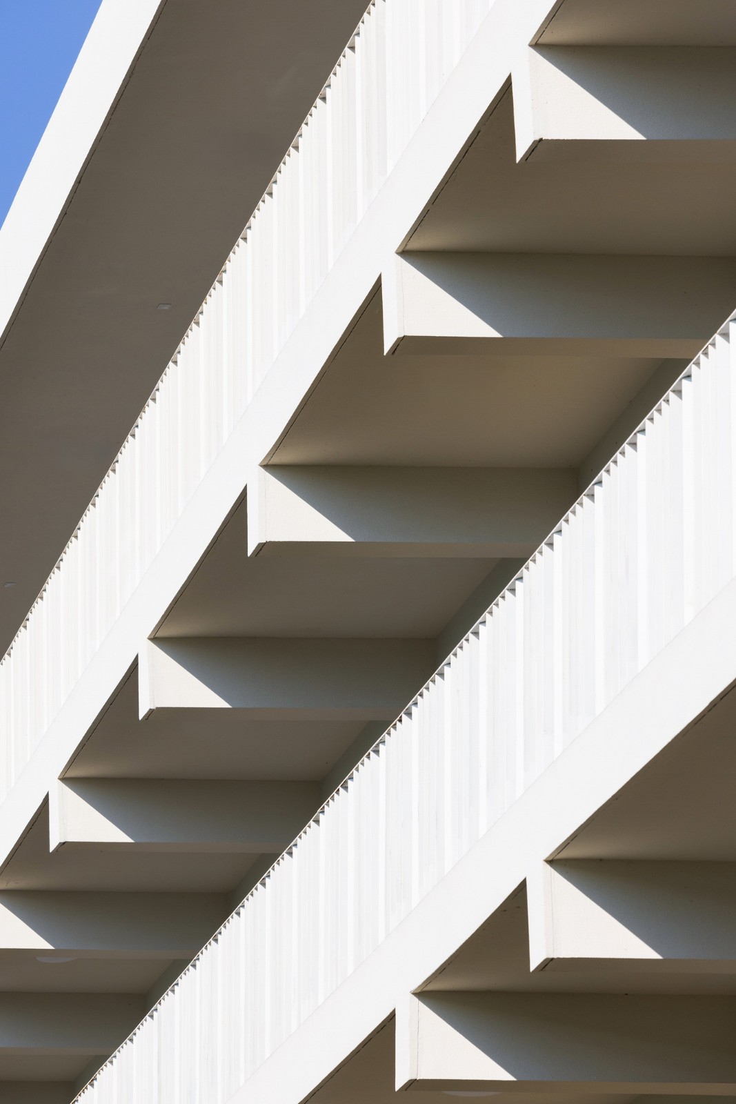 BIM建筑|南山五福堂高级中学 / 小写建筑 BIM建筑|南山五福堂高级中学 / 小写建筑