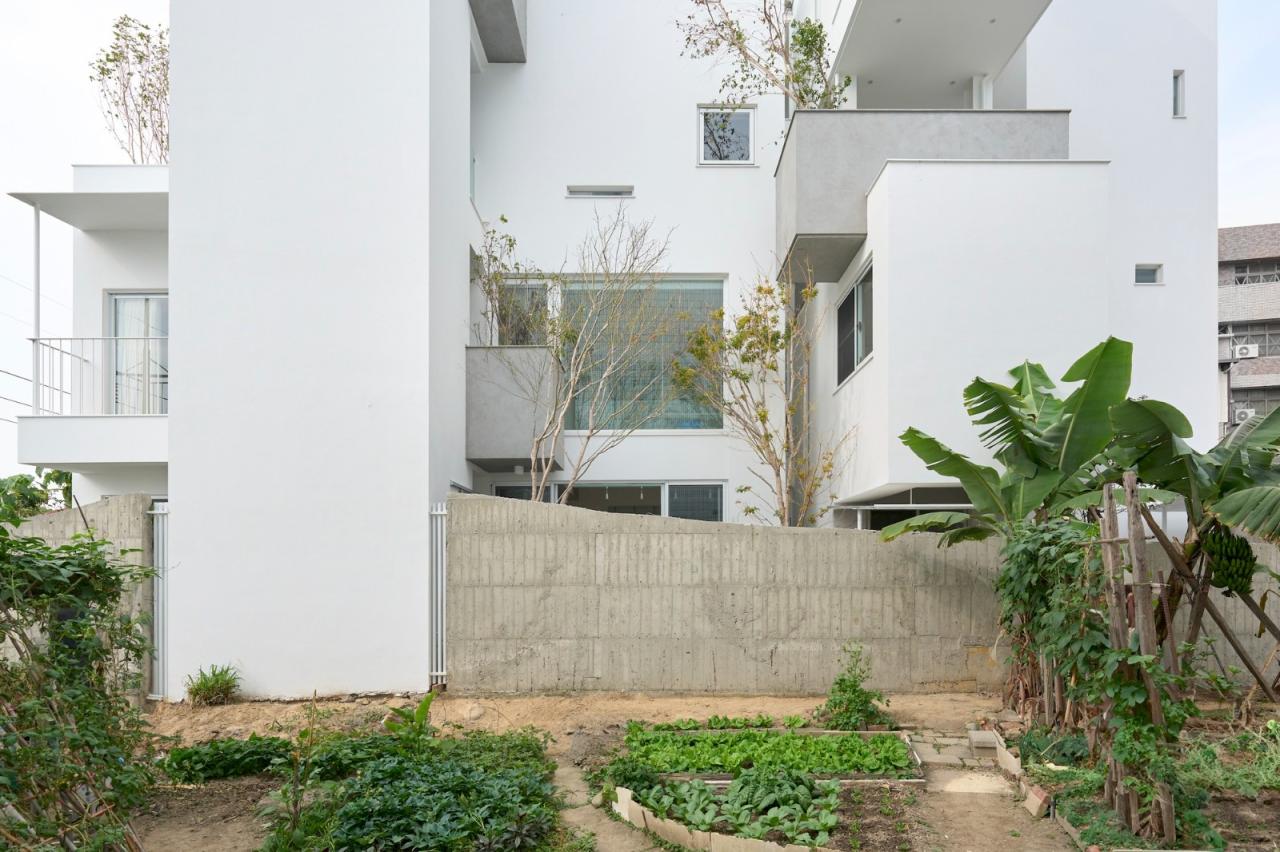 BIM建筑|山谷之家 / Soar Design Studio + Ray Architects BIM建筑|山谷之家 / Soar Design Studio + Ray Architects