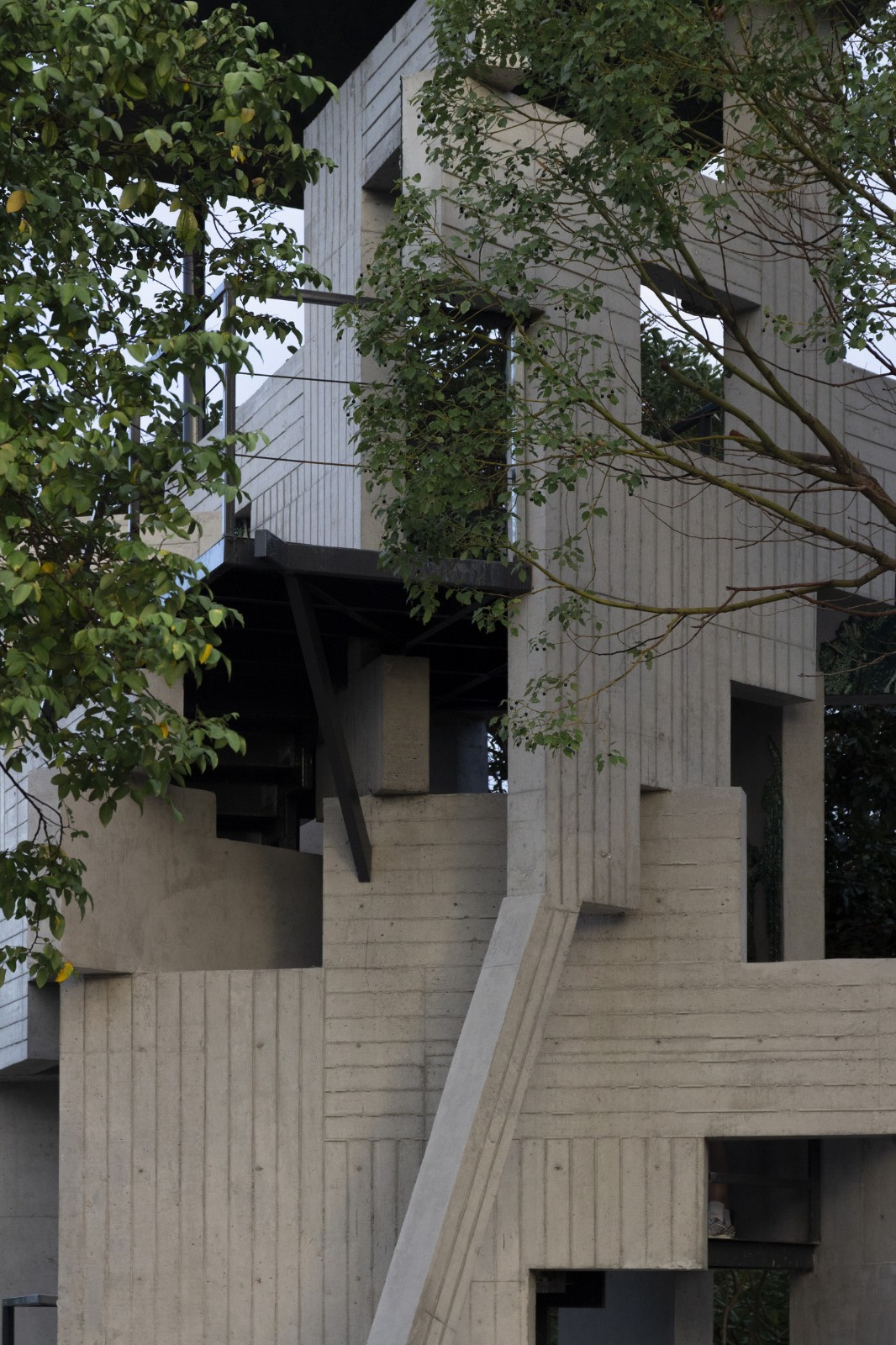 BIM建筑|繁茂的遗迹,垂直自然塔 / 合造社 BIM建筑|繁茂的遗迹,垂直自然塔 / 合造社