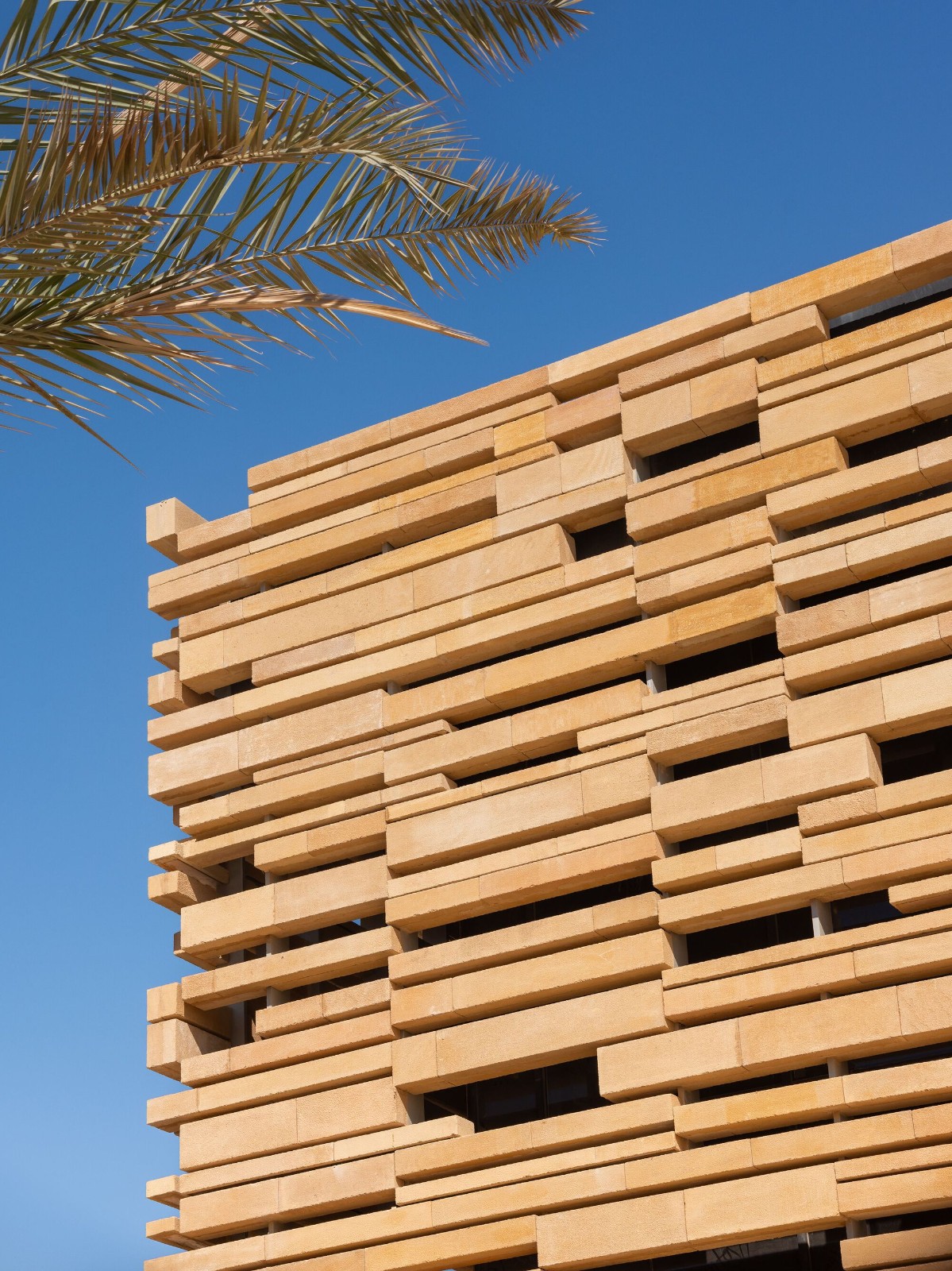 BIM建筑|迪里耶未来艺术中心 / Schiattarella Associati BIM建筑|迪里耶未来艺术中心 / Schiattarella Associati