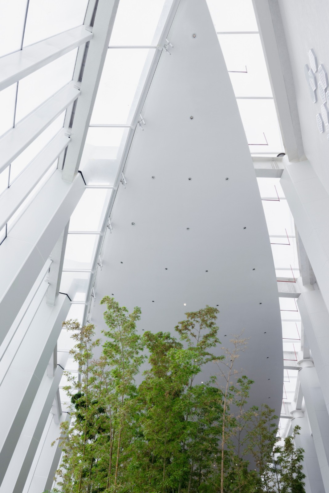 BIM建筑|武汉东西湖文化中心 / 中国院大器工作室 BIM建筑|武汉东西湖文化中心 / 中国院大器工作室